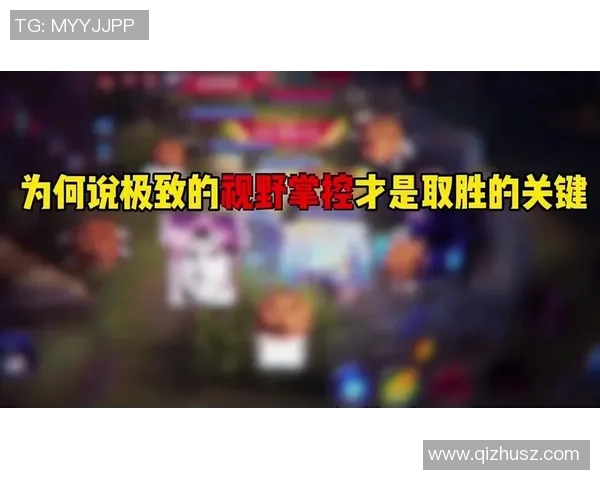 视野掌控让敌人无处藏身的策略解析与实战技巧分享